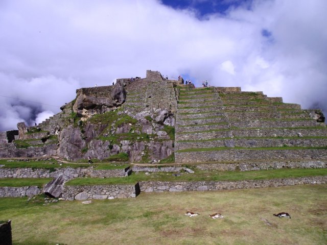 Macchu Picchu 033